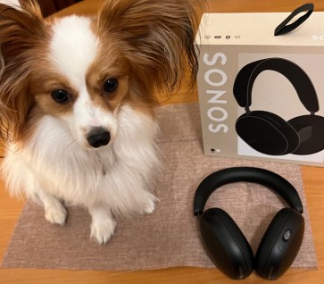 The Sonos Ace headphone