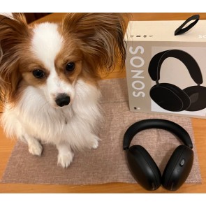 The Sonos Ace headphone