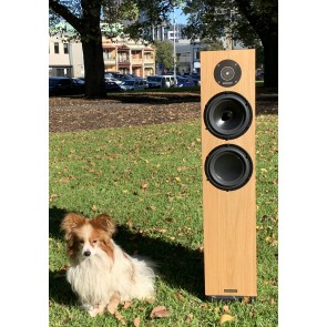 Spendor D7.2 Floorstanding Speakers