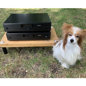 Matching amp cd player and Papillon